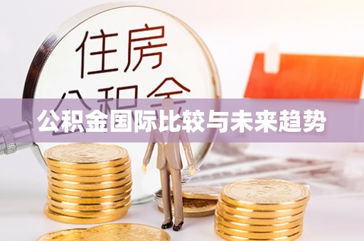禹城公积金国际比较与未来趋势