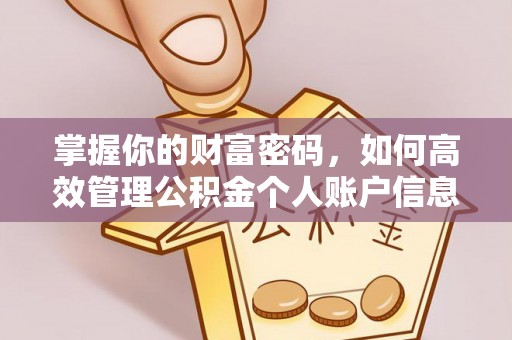禹城掌握你的财富密码，如何高效管理公积金个人账户信息