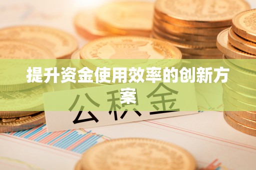 禹城提升资金使用效率的创新方案