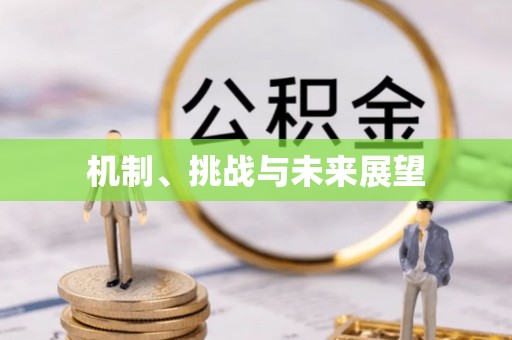 禹城机制、挑战与未来展望