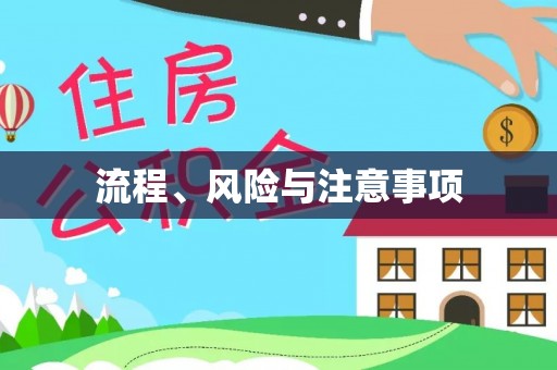 禹城流程、风险与注意事项