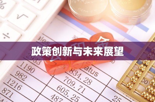 禹城政策创新与未来展望