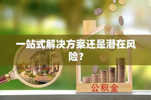 禹城一站式解决方案还是潜在风险？