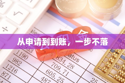 禹城从申请到到账，一步不落