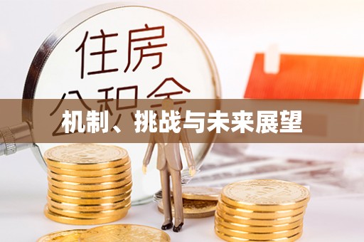 禹城机制、挑战与未来展望